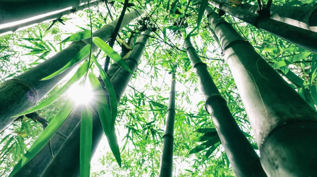 失眠自愈的心理疏导方法,失眠怎么快速入睡心理学