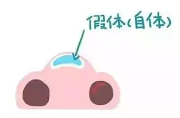 隆鼻能坚持到老吗,隆鼻的潜规则有哪些