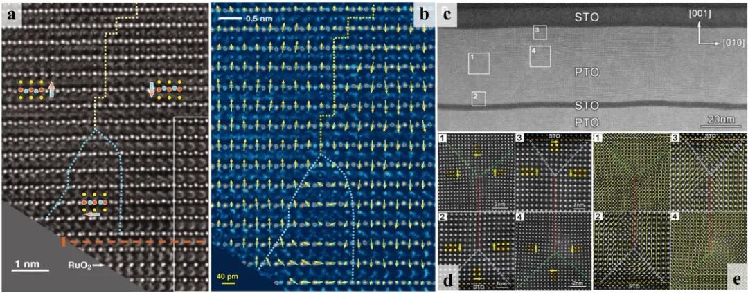Adv.Mater:铁性薄膜和异质结拓扑结构的研究进展