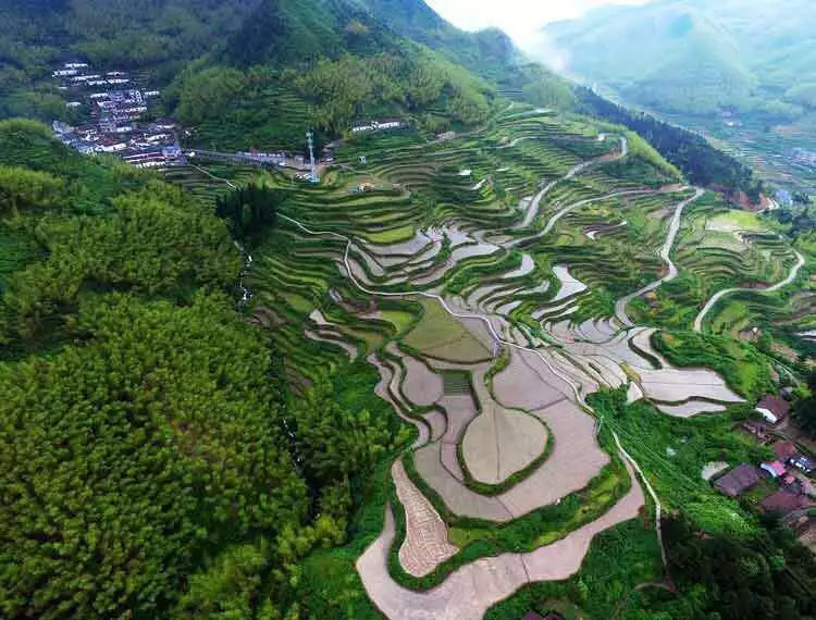 鐖卞績鍔╁鍦嗘ⅵ琛屽姩,鍏泭鐖卞績鍔╁娲诲姩