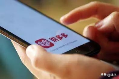 社交电商云集分析,集中爆发的电商