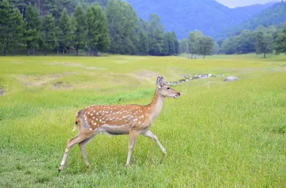 等一个人陪我旅游,等一个人陪我一起跨年
