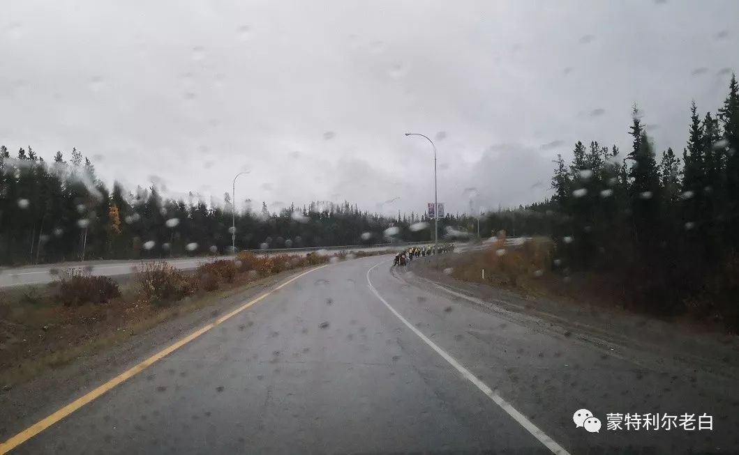 跟着老白行走加拿大，育空Watson Lake、BC省Northern Rockies