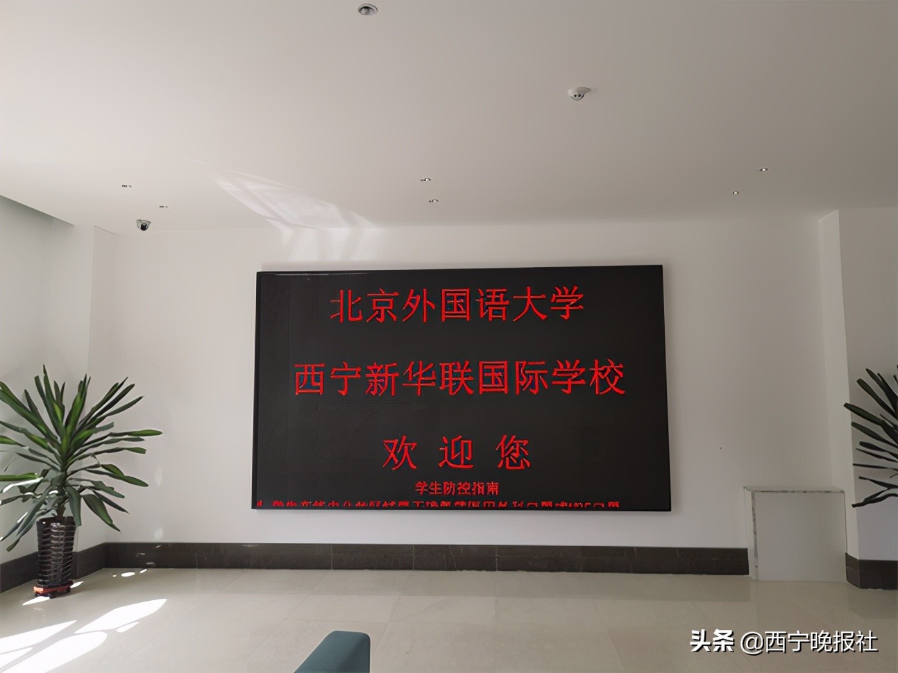 北京外国语大学西宁新华联国际学校2021年招生简章