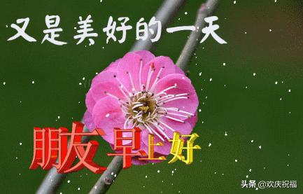 冬天早晨祝福语动态图片,祝福寒冷冬天早上好动态图片