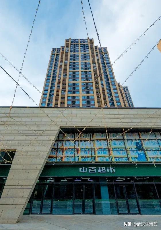 武汉光谷东万科未来城规划,光谷万科大都会规划