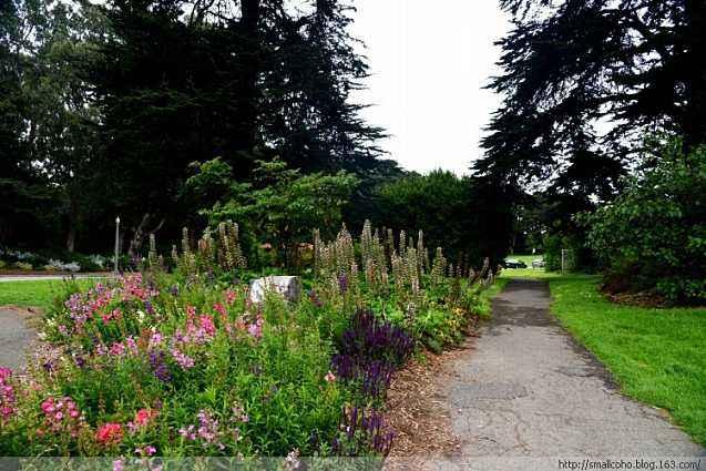 普通家庭怎么负担留学费用,工薪家庭怎样去美国留学