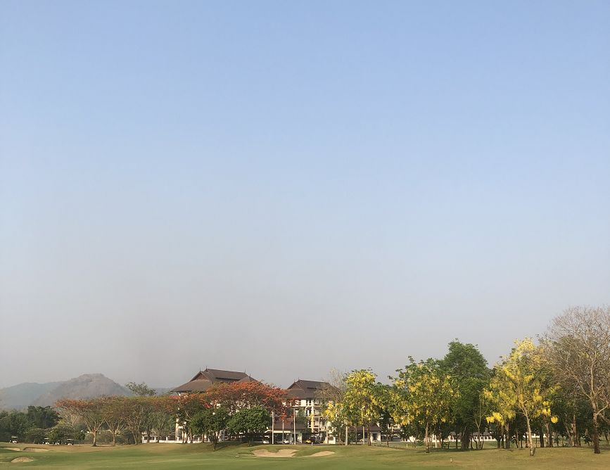 泰国清迈特产水果,泰国清迈的玫瑰