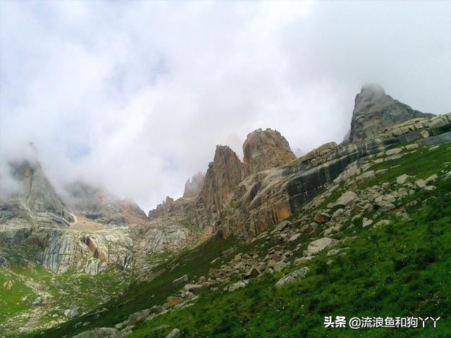 年保玉则现在开放了吗,年保玉则为啥被封