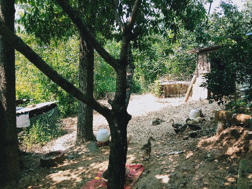 老罗垂钓现场,老罗垂钓园在哪