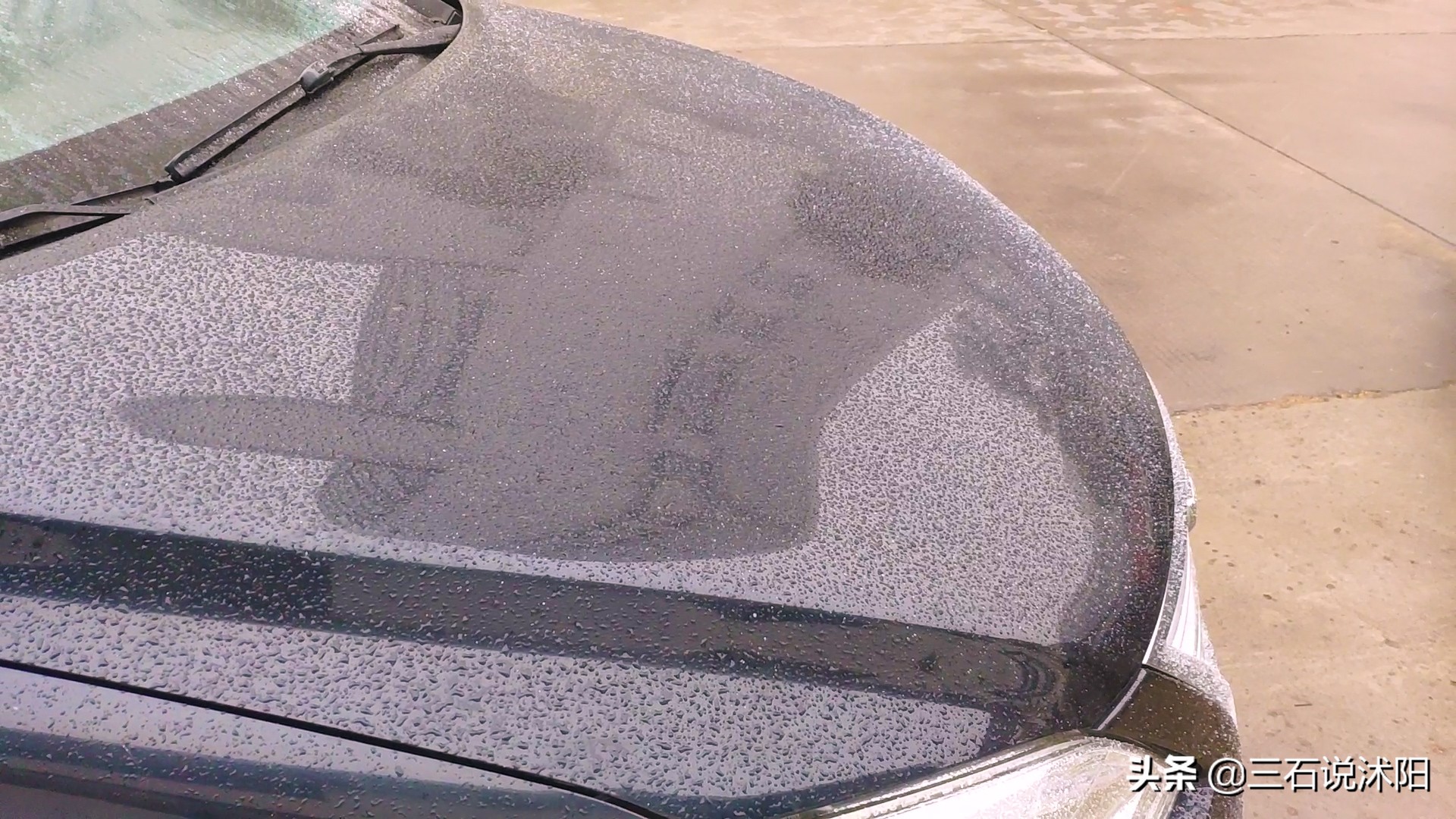 原来沭阳的小学生们开始流行这样过周末了