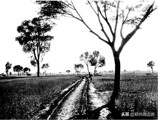 慈禧回銮之旅完整版,慈禧逃到西安都干了什么