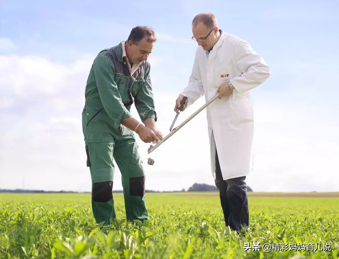 宝宝口粮选择其实并不难,给宝宝选奶粉有哪些注意事项