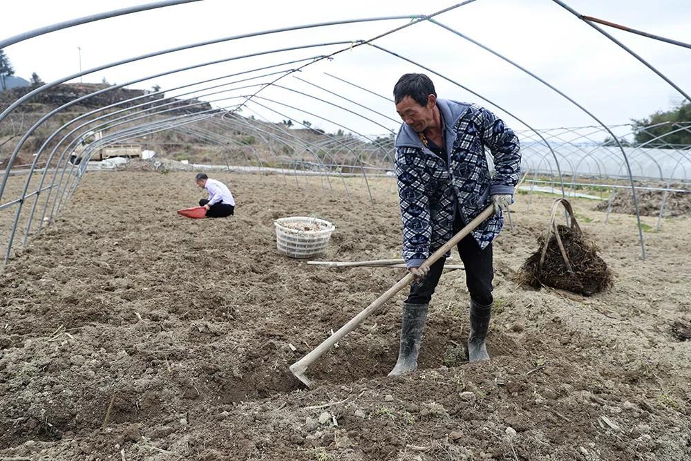 温州永嘉海拔最高的小村落，有座百年农场！很多人没听说过