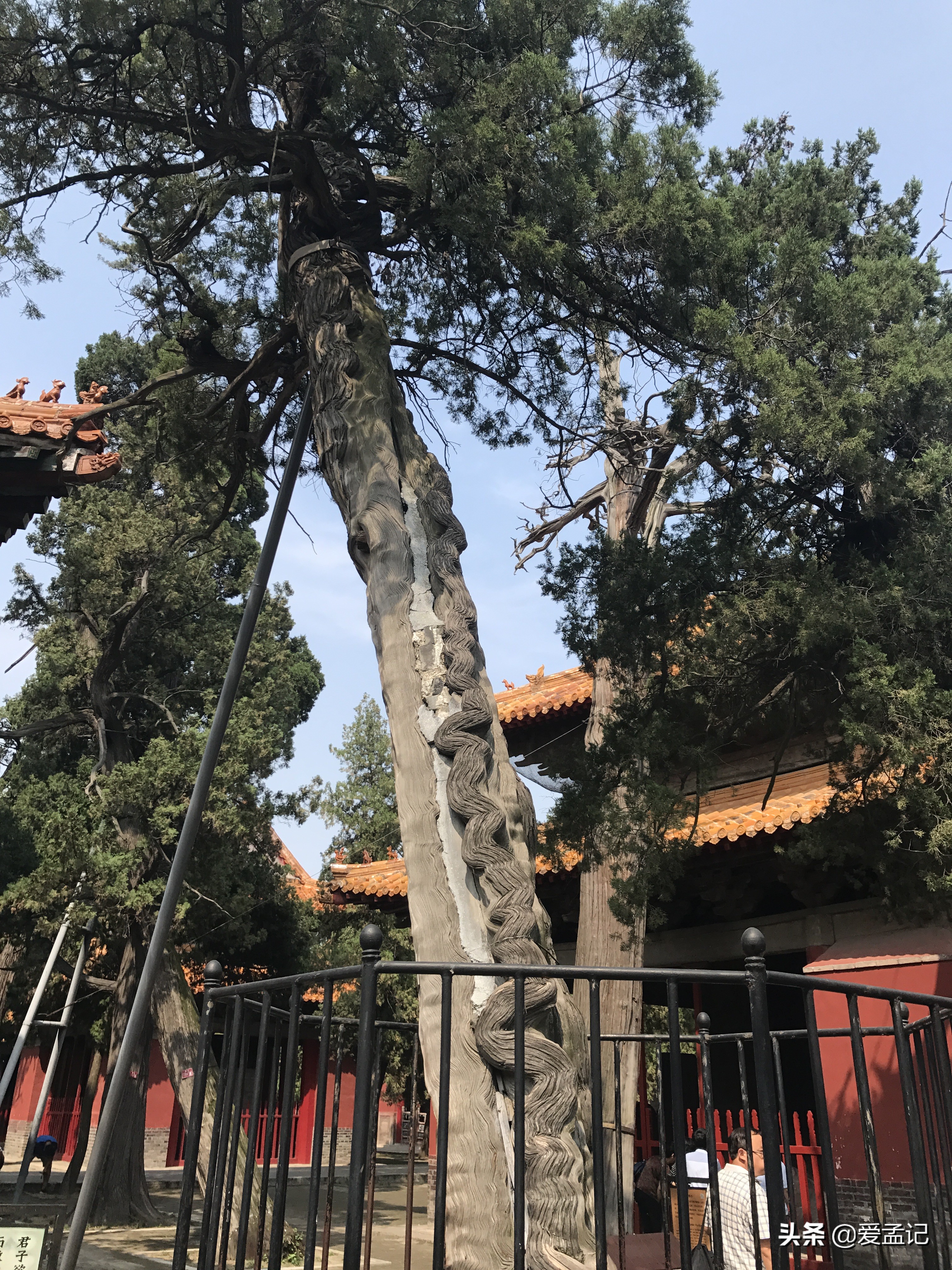 游三孔孔庙孔府孔林,山东三孔景区孔府孔庙孔林