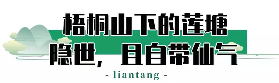 附近莲塘,附近的莲塘