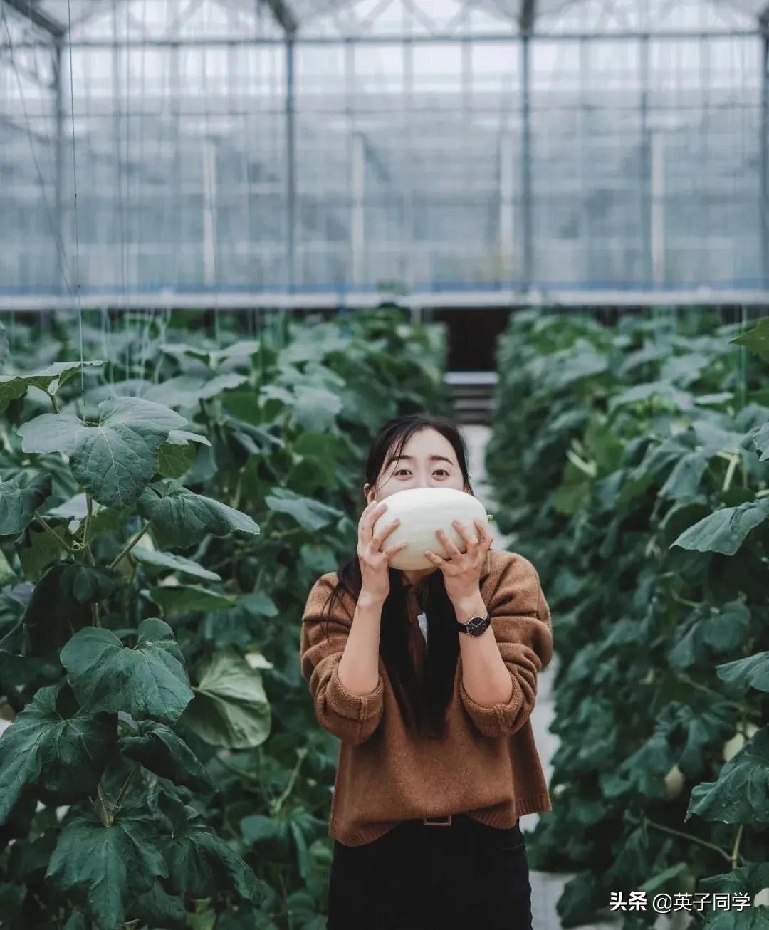 南昌农家乐采摘一日游,南昌采摘农家乐