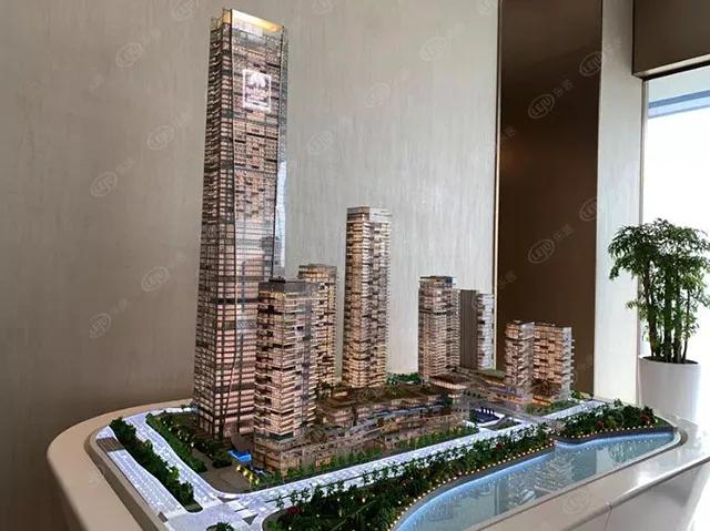 猛虎pk,猛虎队pk猎豹队谁强谁弱