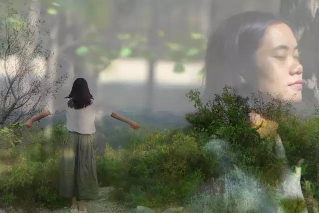 她31岁放弃北漂，回归自然，用枯枝败叶，打造了一个梦幻森林