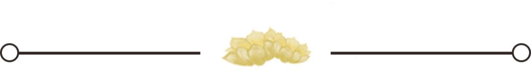 黄冈网校呼和浩特,黄冈网校教育视频