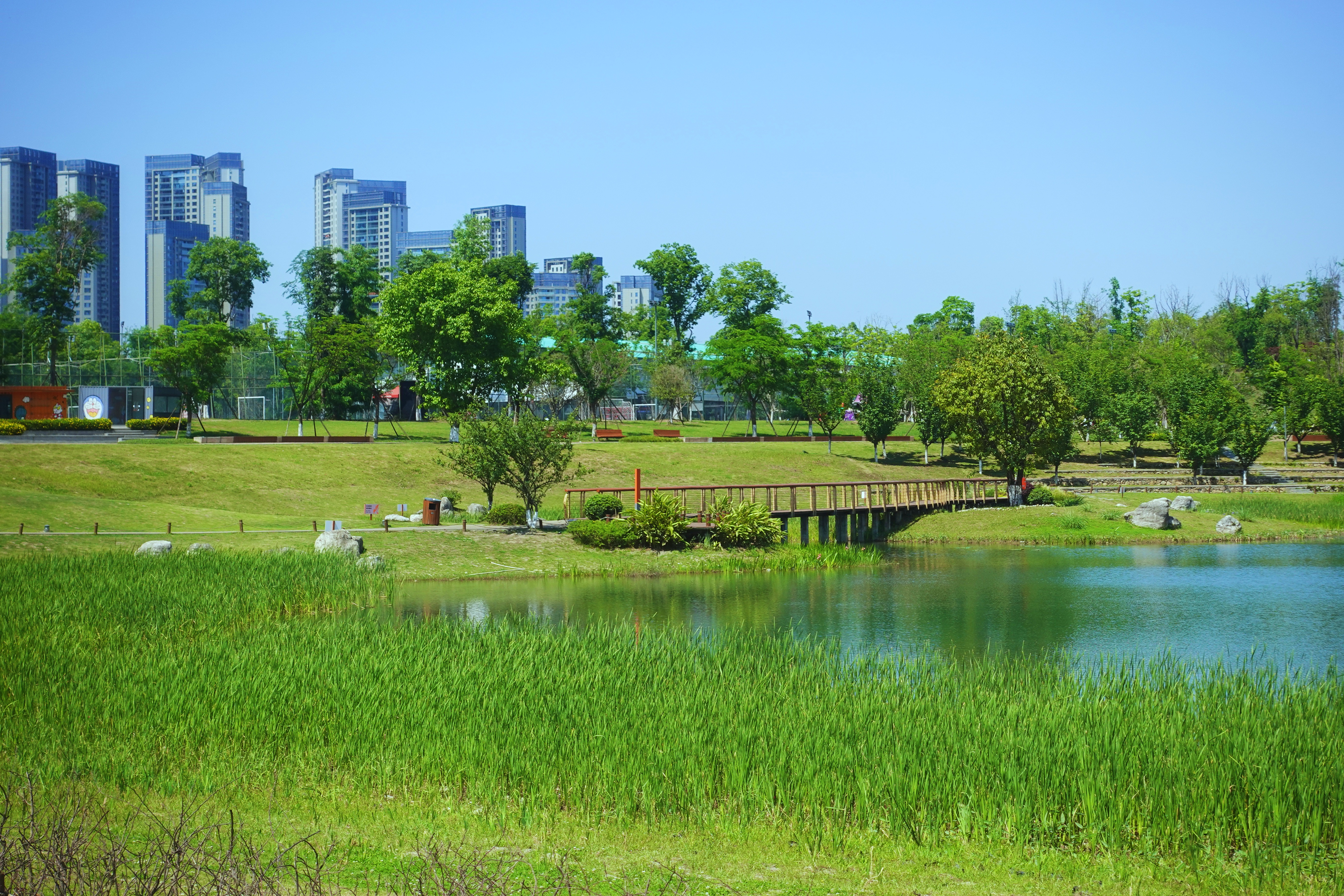 2021幸福感城市成都,最幸福感城市排名成都第一