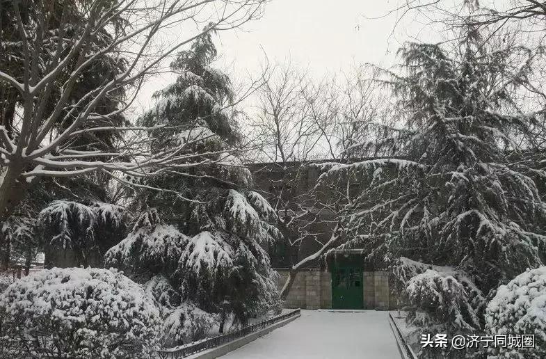 兖州实小宿舍,兖州实小老照片