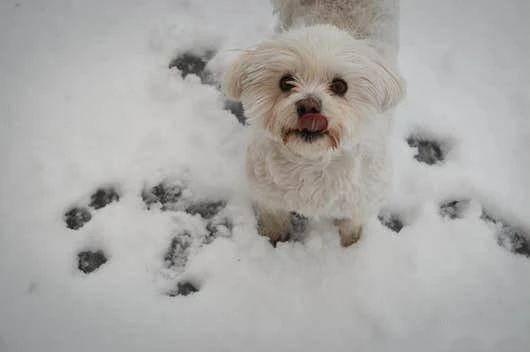 天降巨款的真实感觉,天降一笔巨款解析