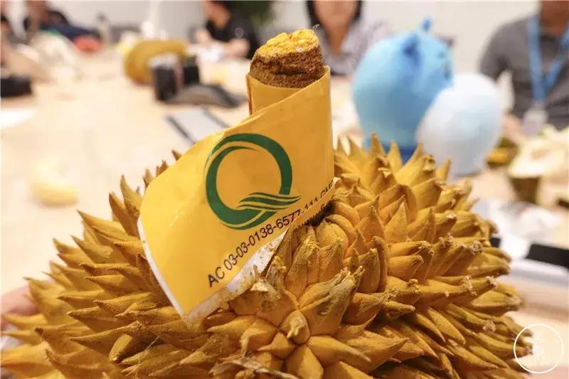 做完这期测评,朋友问我是不是吃“shi”了||美观测评