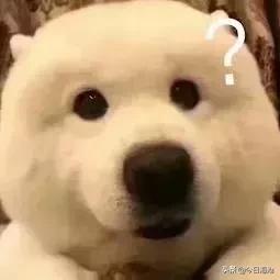 厦门中考报名最新通告,厦门中考最新通知