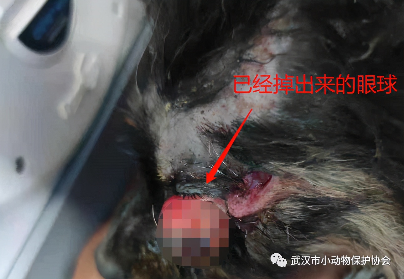 背部烫伤伤口发白是溃烂吗,眼睛被开水烫伤过容易得什么炎症