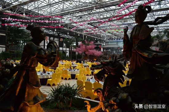 温室大棚生态餐厅合法吗,大棚绿色生态餐厅设计