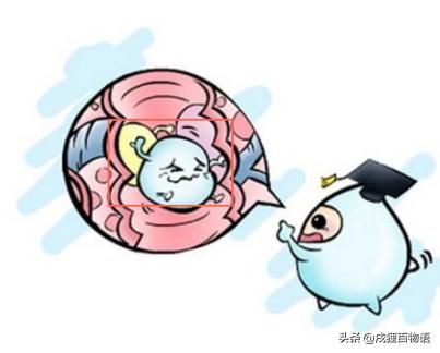 牛奶拉肚子羊奶拉肚子吗,牛奶羊奶腹泻