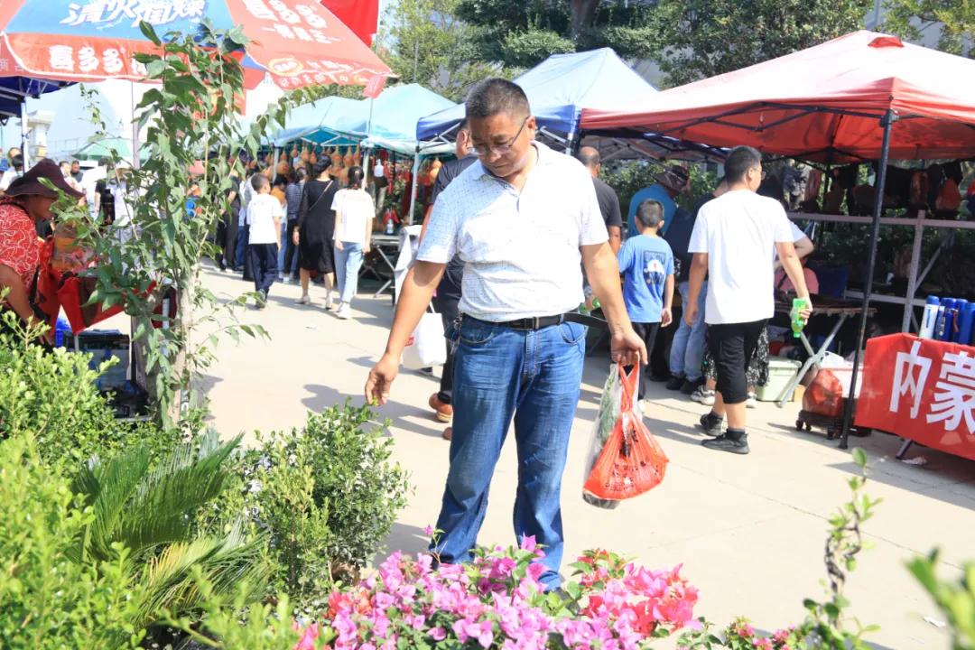花木盆景活动,秋冬季花木节盆景展