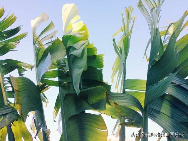 男朋友嫌我不上进要不要分手,男朋友不上进不努力怎么说分手