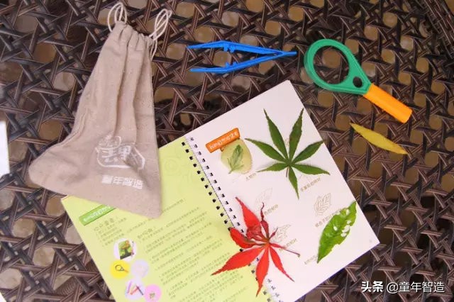 想要有孩子就必须得干了一件事,要想孩子聪明就要做这几件事