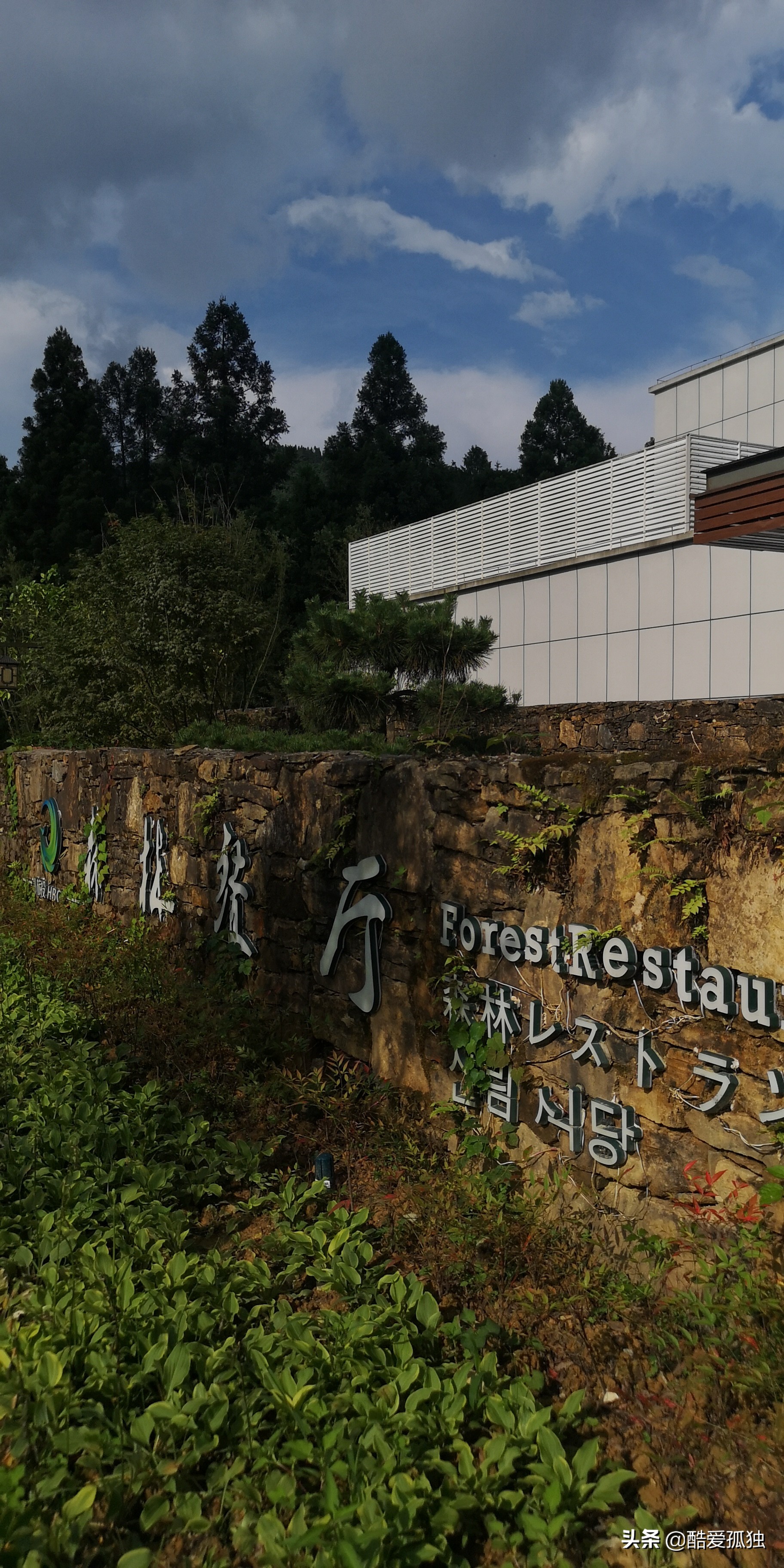 荣放双擎四驱精英plus放一夜没电,2.5荣放双擎plus和探岳四驱智联