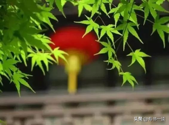 读懂南怀瑾先生经典的22句话,南怀瑾三句话说透了人生最高境界