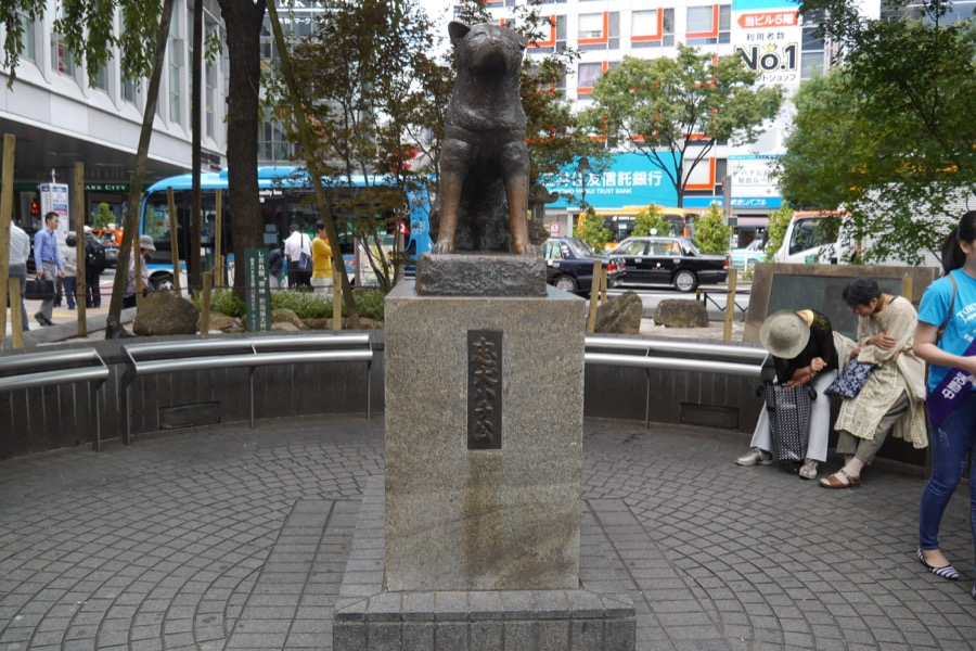 日本东京涩谷哪些好逛的,日本东京涩谷必吃