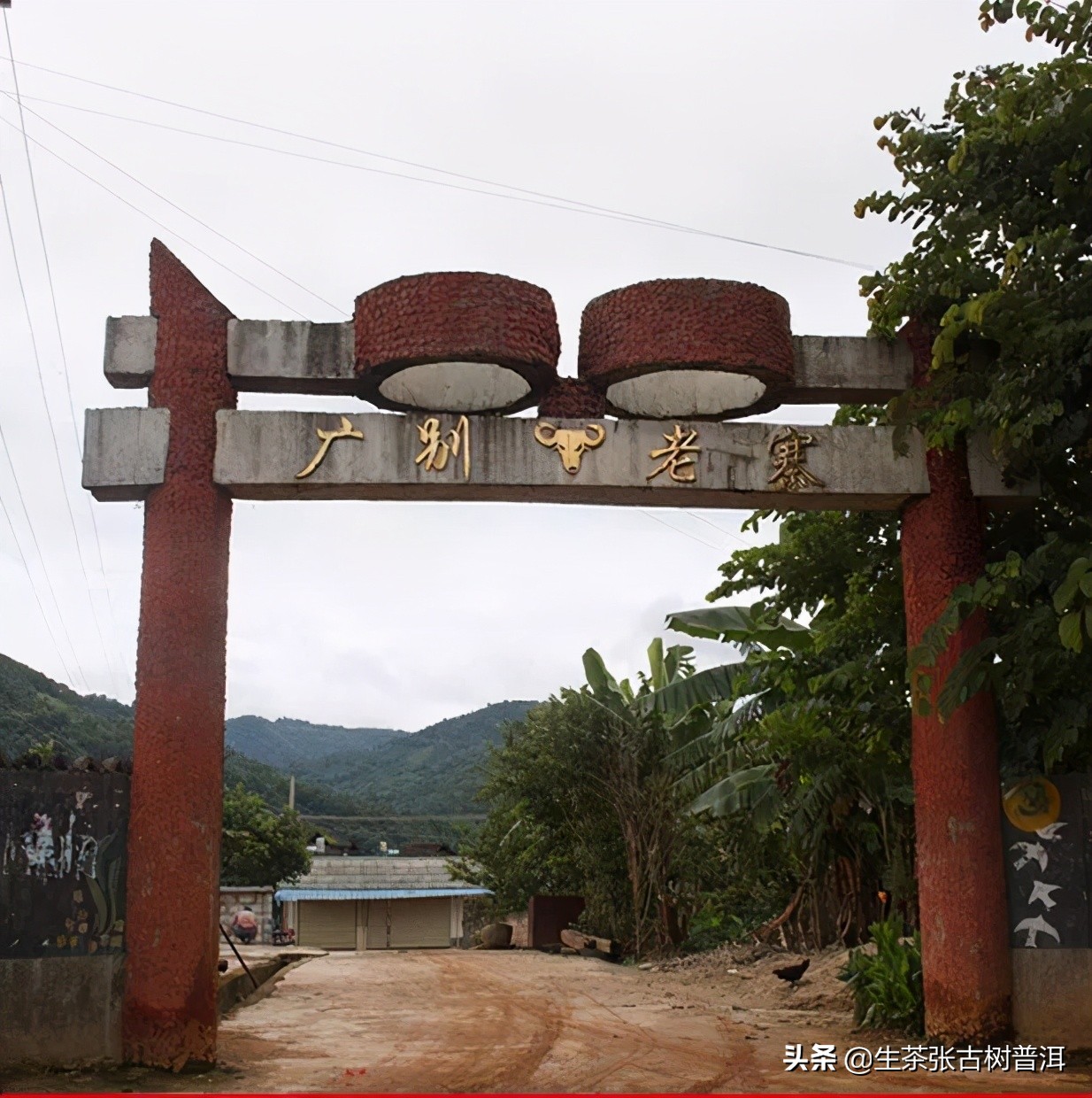 解读：广别老寨的“妖香”野韵，喝了之后，茶友是这样说的