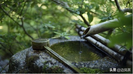 为什么春茶的口感比夏茶好,你对茶叶懂多少