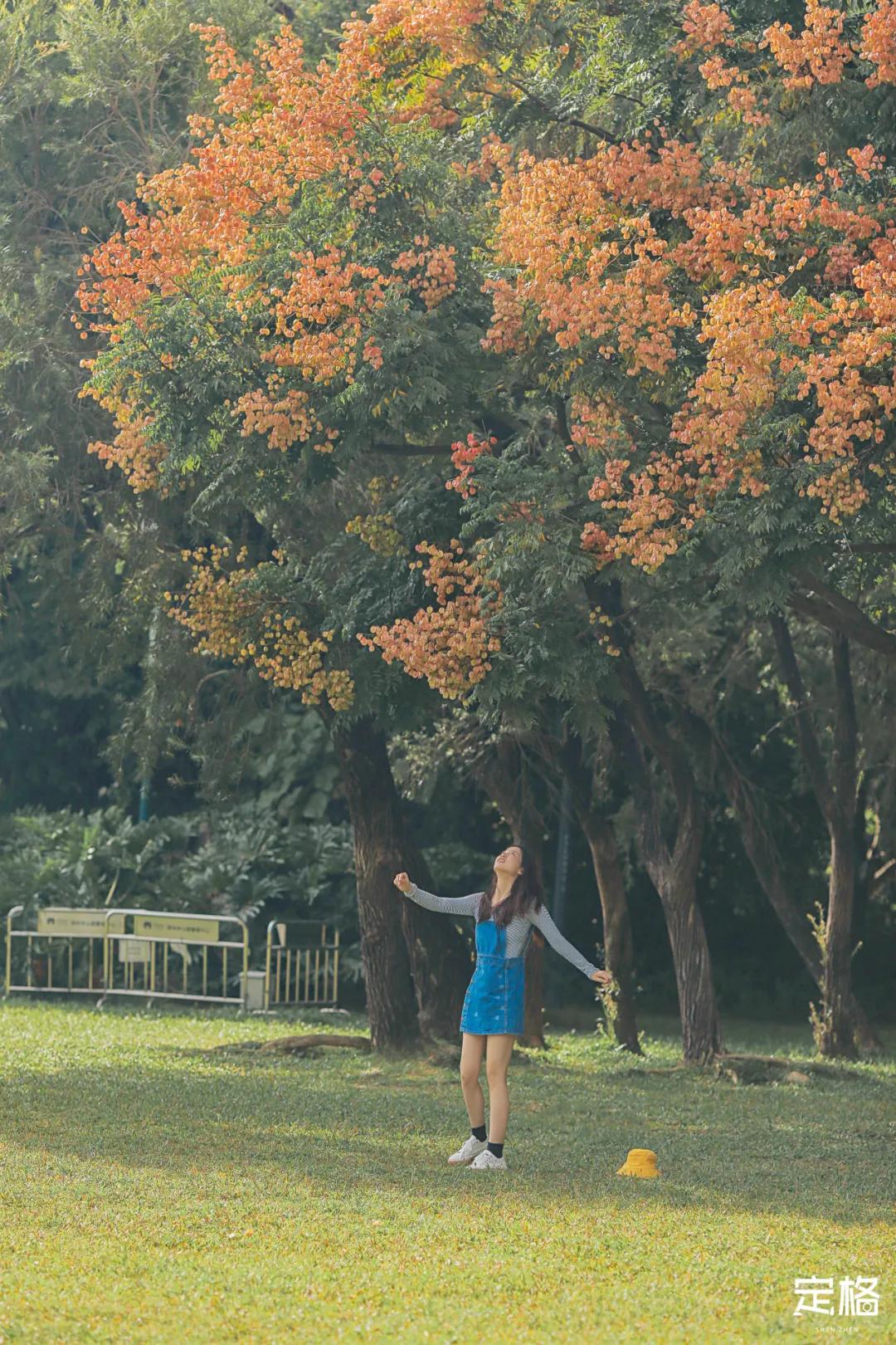 莲花山公园网红打卡地,即墨莲花山公园网红打卡地