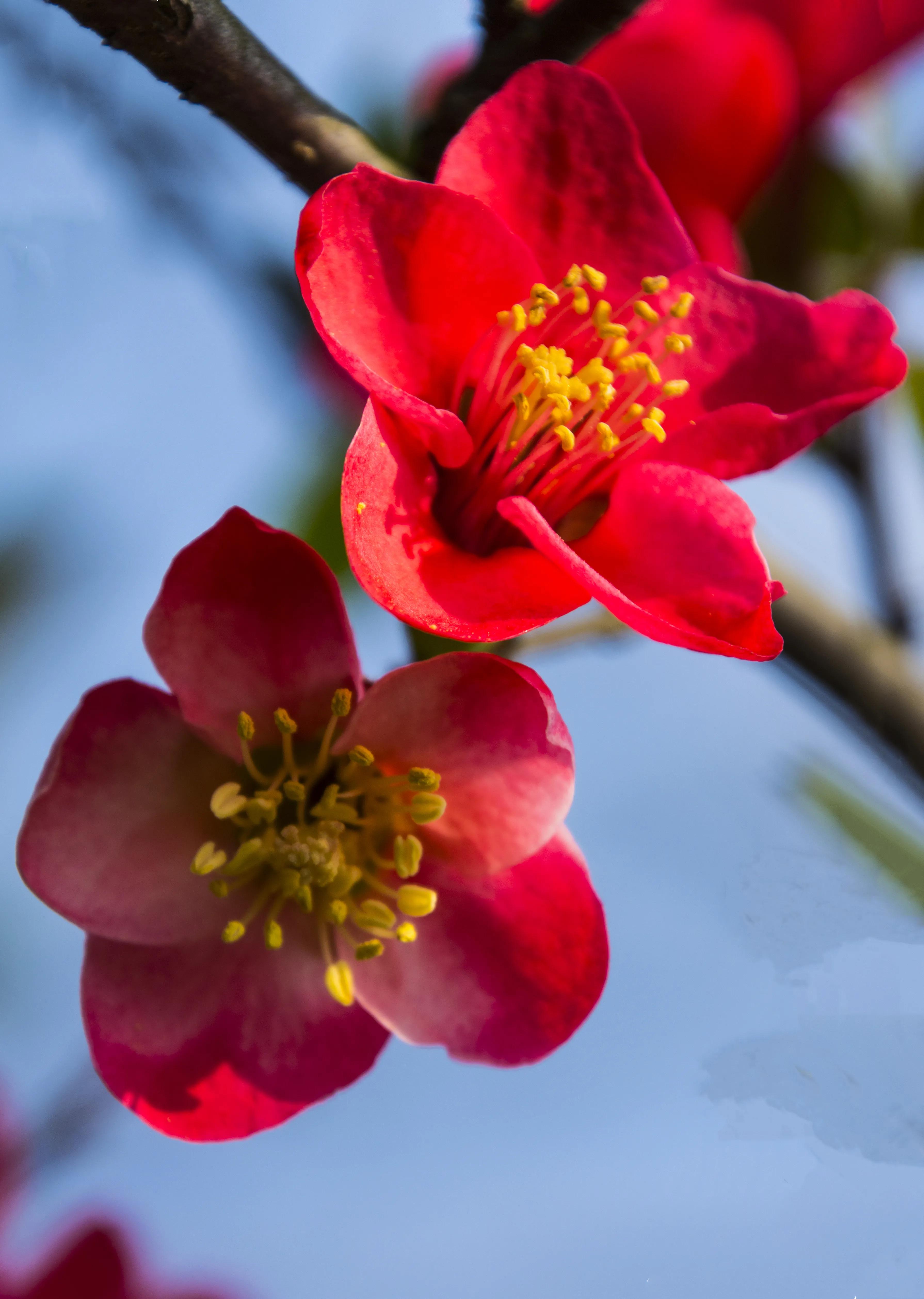 贵州大学8090后的回忆,贵州大学往事