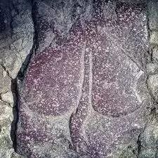 这些秘密你知道吗,这些秘密