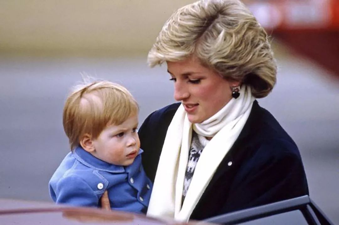 戴安娜母亲教育孩子,戴安娜是个好母亲吗
