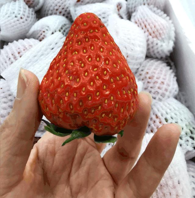 这是什么神仙超市？万象城的品质堪比五爱的价格！奶茶1元喝