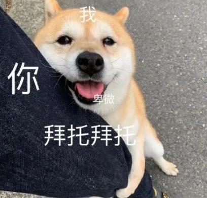 最好吃的月饼就是家乡的味道 (最好吃的私房月饼)