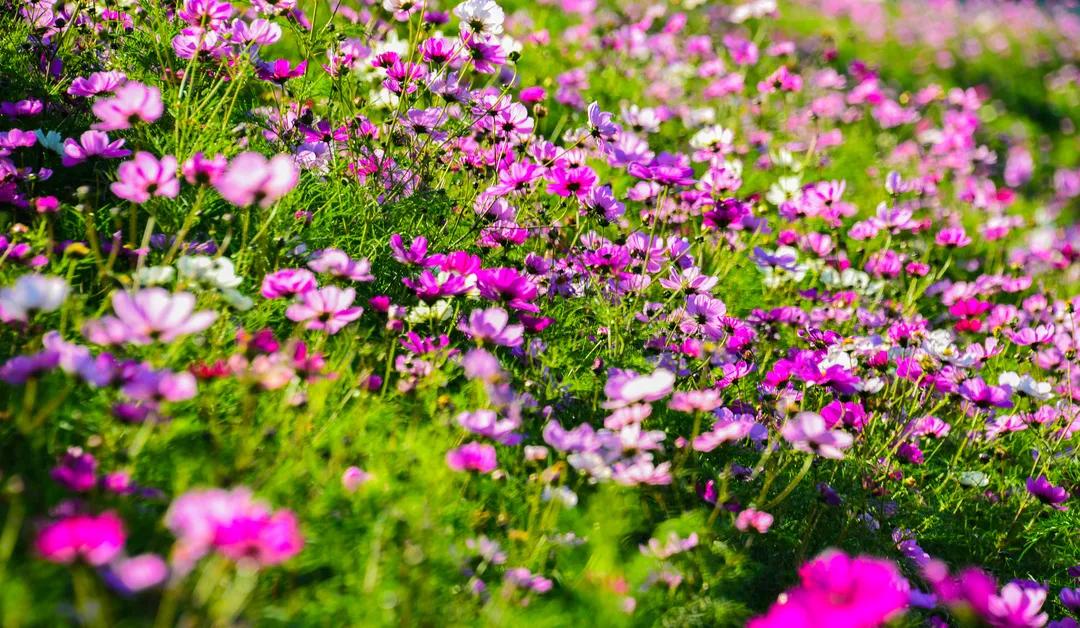 在济南花式避暑，一见“清”心！只需一瞥，便足以把酷夏原谅…