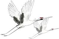 江西省南康中学校歌歌词,大余南安中学校歌