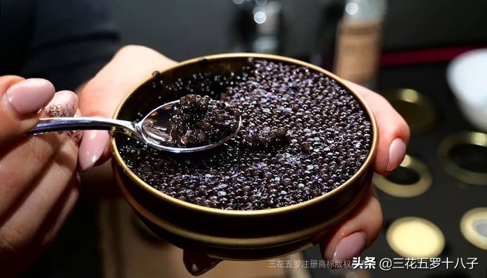 鱼子酱是三大奢侈品美食吗,世界三大美食鱼子酱