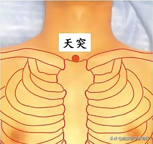 健康管理师需要哪些技巧,健康管理师基础知识100条